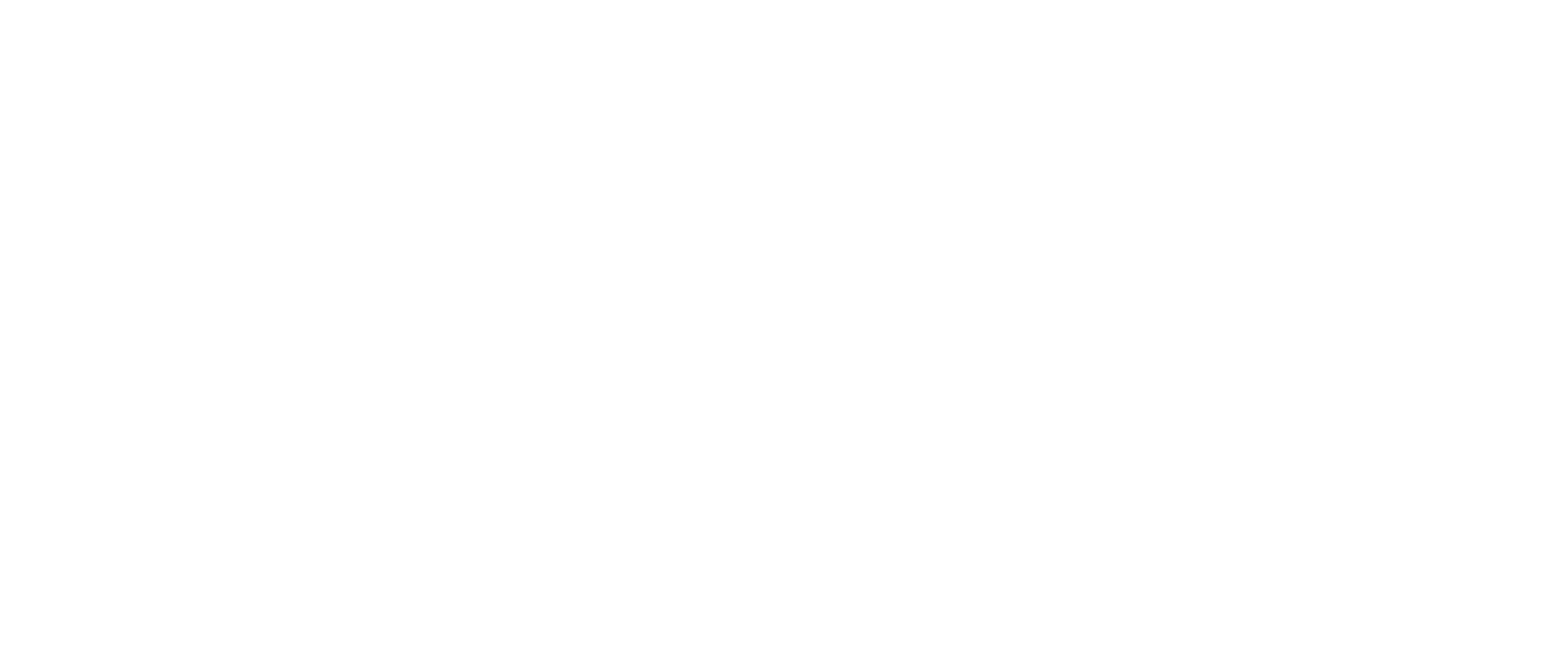 Festcine VSA